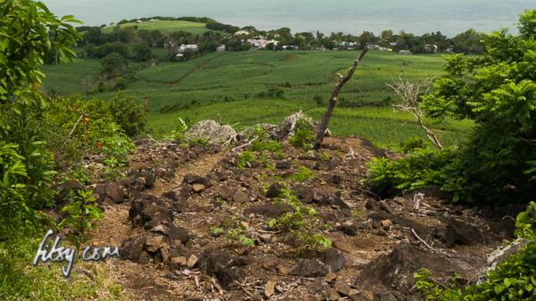 Agricultural area at the start of the path